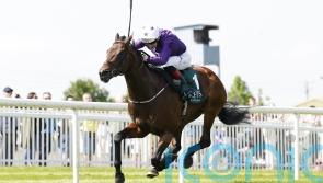 Bucanero Fuerte ruled out of Commonwealth Cup