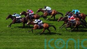 Breeders’ Cup return will be on the cards for Big Evs