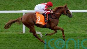 Charlton upbeat on King’s Gambit’s Hampton hopes