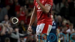 Taine Plumtree convinced Wales have ‘nothing to lose’ in Springboks showdown