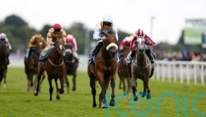 Railway Stakes mission for The Strikin Viking this weekend