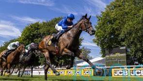 Noble Dynasty continues on upward curve at Newmarket