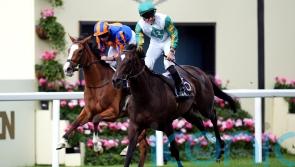 Porta Fortuna &lsquo;in great form&rsquo; and set for Falmouth tilt