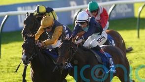 Fair Angellica has Goodwood’s Oak Tree Stakes on her agenda