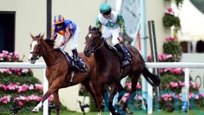 Connections ‘very happy’ with Falmouth favourite Porta Fortuna