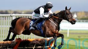 Flooring Porter fails to sparkle in Killarney chase