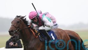 Beckett biding his time on Bluestocking King George decision