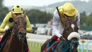 Irish Derby runner-up Sunway primed for King George challenge