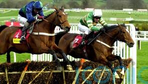 ‘Horse of a lifetime’ Istabraq dies aged 32