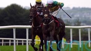 Saint Roi a winner to remember for Aidan Kelly