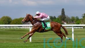 Live In The Dream back on right track for Nunthorpe repeat
