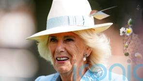 Goldream receives royal attention as the Queen makes York visit