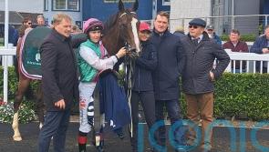 Revoke makes big impression with debut win at Naas