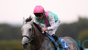 Field Of Gold camp considering next move for ‘exciting colt’