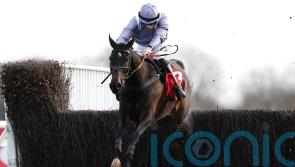 Il Est Francais limbering up for seasonal return