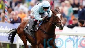 Scenic viewed as leading Park Hill contender by Walker