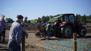Good spirits at the Ploughing despite fears of ‘losing a generation of farmers’