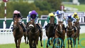 Novus digs deep for Goodwood Listed glory