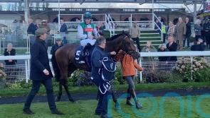 Minstrel Knight provides perfect Finale with York victory