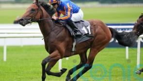 The Lion In Winter unlikely to run again this season