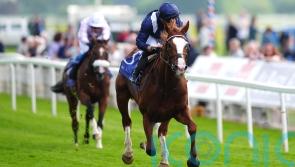 Marquand hoping to see Economics show his ‘class’ once again