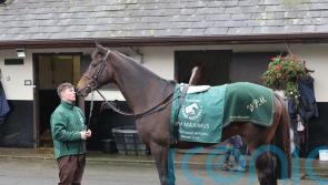 Mullins has sights firmly fixed on National repeat with I Am Maximus