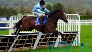 Valgrand floors Gale Mahler to take Grade Two honours at Cheltenham