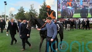 Donoghue hits Cheltenham target with Lisnamult Lad