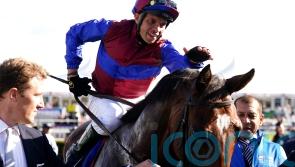 O’Brien looks to Hong Kong with Jan Brueghel following Melbourne disappointment