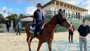 Head has every reason to think Ramatuelle can add to family history