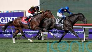 Rebel’s Romance is Turf king again for Appleby and Buick