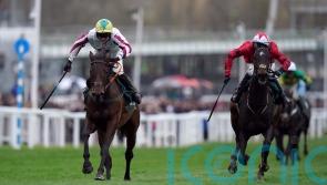 Buddy One pencilled in for Cheltenham return