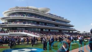 Knight’s Choice prevails in Melbourne Cup thriller