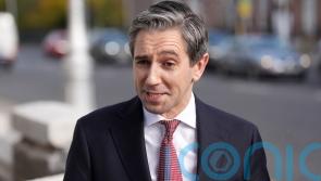 ‘Ambition’ for November 29 election, Taoiseach’s spokesman says