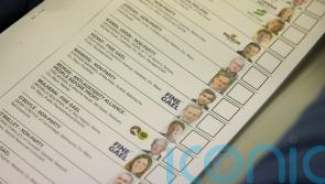 FactCheck: How does Ireland’s voting system work?