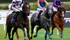 Porta Fortuna to stay in training next year