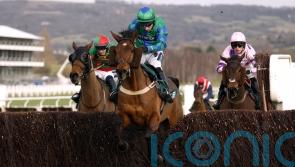 Ga Law back in the hunt for Paddy Power Gold Cup honours