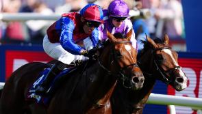 O’Brien open to Saudi Arabia option for Jan Brueghel