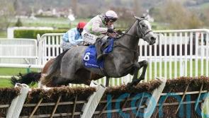 Lossiemouth setting out on path intended to arrive at Cheltenham for Champion Hurdle