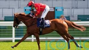 Wise Eagle backed to soar in National Hunt sphere