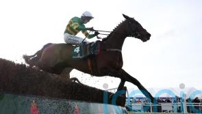 Mangan: Ground needs to be right for Spillane’s Tower at Christmas