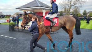 James’s Gate sheds maiden tag over hurdles at Punchestown