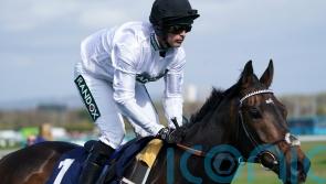 Constitution Hill &lsquo;looks fantastic&rsquo; ahead of Kempton target