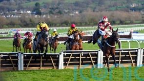 Bowen brothers share the spoils in Triumph thriller