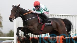 Naas Grade One firmly in Elliott’s sights