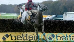 Big guns stand ground among bumper field for King George crown