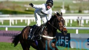 Time to let the horses do the talking, says De Boinville ahead of blockbuster clash