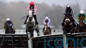 Tizzard plotting Festival route for Western Knight