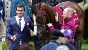 Facteur Cheval to make dirt switch at Meydan