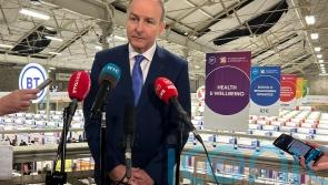Micheal Martin refuses to comment on Michael Lowry’s integrity